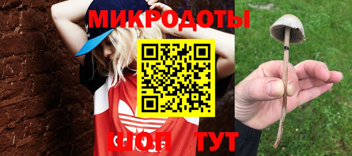 Псилоцибиновые грибы GOLDEN TEACHER  Вход с VPN  Семилуки  Галлюциногенные грибы GOLDEN TEACHER 