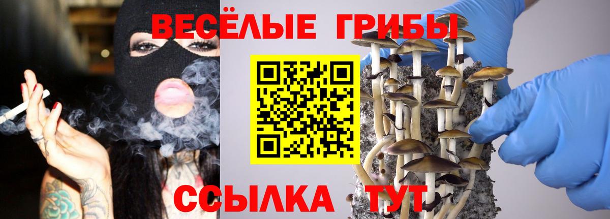 Галлюциногенные грибы Cubensis Семилуки
